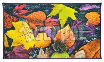 FANTASY mat, icarpet 40*60 002