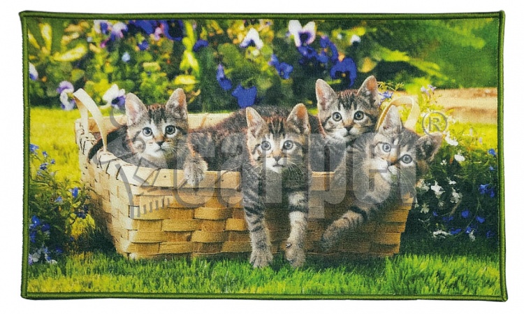 FANTASY mat, icarpet 50*80 005