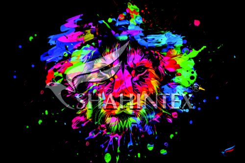 SHAHINTEX DIGITAL PRINT absorbing mat, «Lion» 40*60