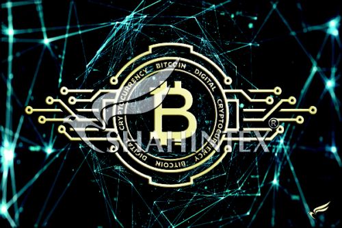 SHAHINTEX DIGITAL PRINT absorbing mat, «BTC» 60*90