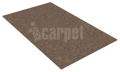 Absorbing anti-slip mat icarpet PRACTIC 80x120 gray